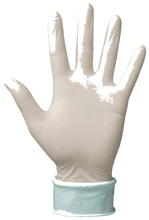 Latex Examination Gloves